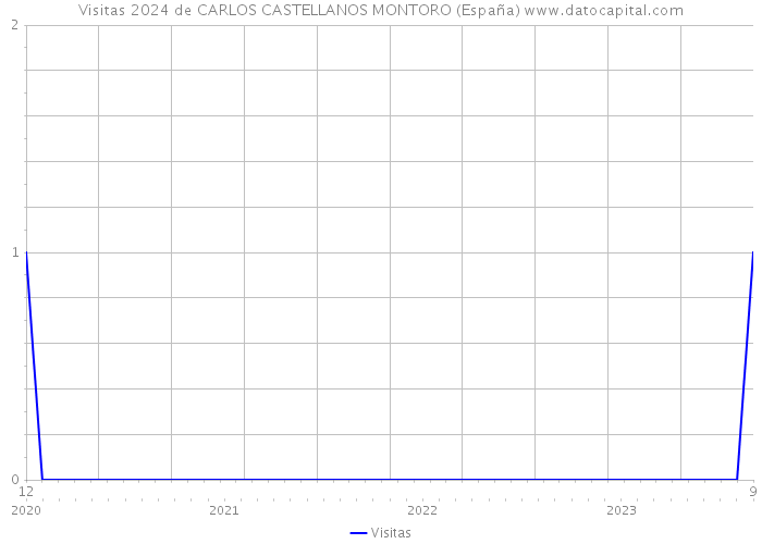 Visitas 2024 de CARLOS CASTELLANOS MONTORO (España) 