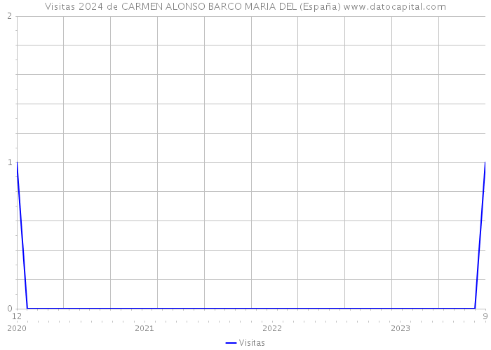 Visitas 2024 de CARMEN ALONSO BARCO MARIA DEL (España) 