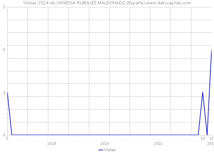 Visitas 2024 de VANESSA RUBIALES MALDONADO (España) 
