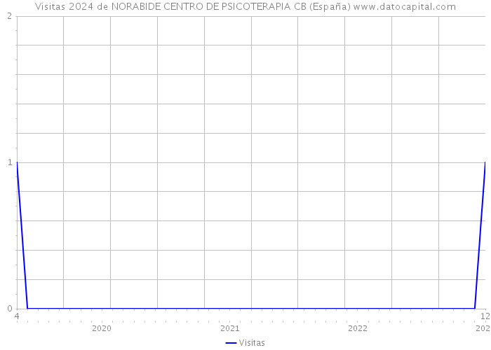 Visitas 2024 de NORABIDE CENTRO DE PSICOTERAPIA CB (España) 