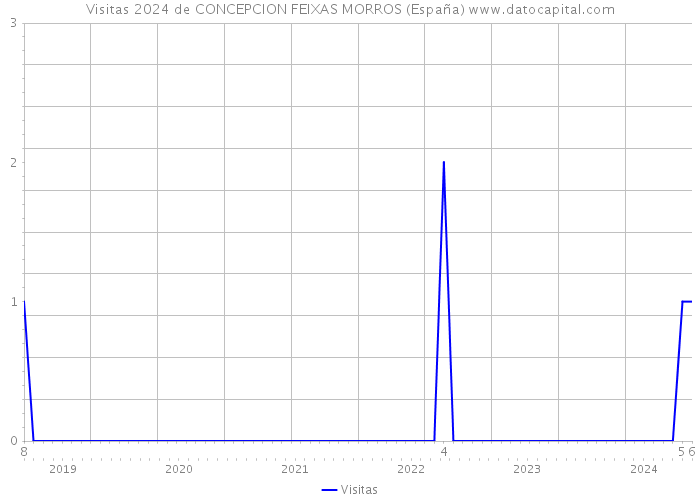 Visitas 2024 de CONCEPCION FEIXAS MORROS (España) 
