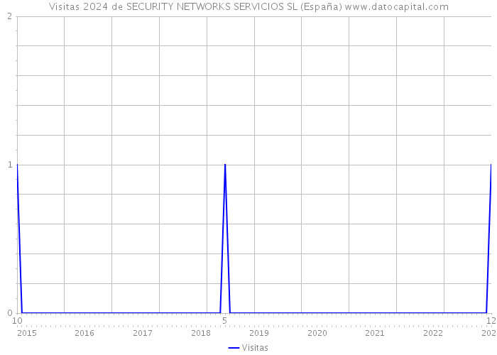Visitas 2024 de SECURITY NETWORKS SERVICIOS SL (España) 