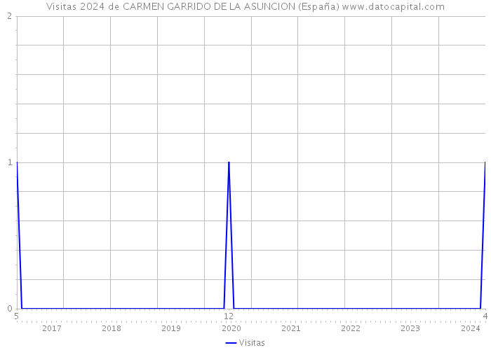 Visitas 2024 de CARMEN GARRIDO DE LA ASUNCION (España) 