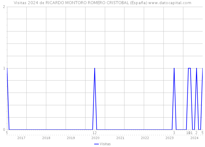 Visitas 2024 de RICARDO MONTORO ROMERO CRISTOBAL (España) 