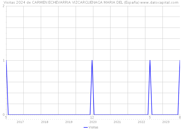 Visitas 2024 de CARMEN ECHEVARRIA VIZCARGUENAGA MARIA DEL (España) 