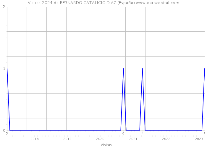 Visitas 2024 de BERNARDO CATALICIO DIAZ (España) 