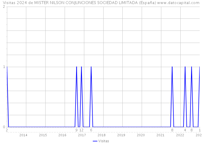 Visitas 2024 de MISTER NILSON CONJUNCIONES SOCIEDAD LIMITADA (España) 