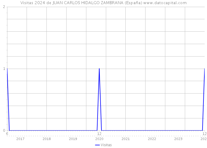 Visitas 2024 de JUAN CARLOS HIDALGO ZAMBRANA (España) 