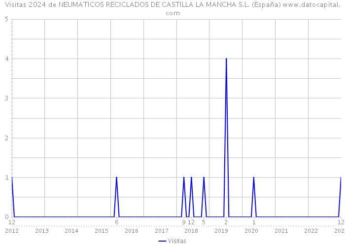 Visitas 2024 de NEUMATICOS RECICLADOS DE CASTILLA LA MANCHA S.L. (España) 