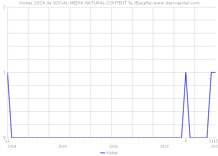 Visitas 2024 de SOCIAL MEDIA NATURAL CONTENT SL (España) 