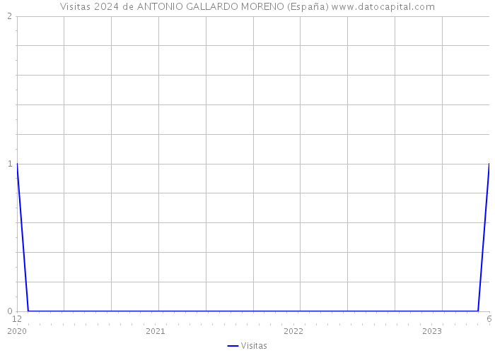 Visitas 2024 de ANTONIO GALLARDO MORENO (España) 