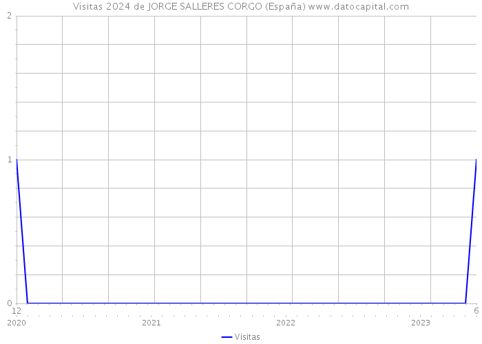 Visitas 2024 de JORGE SALLERES CORGO (España) 