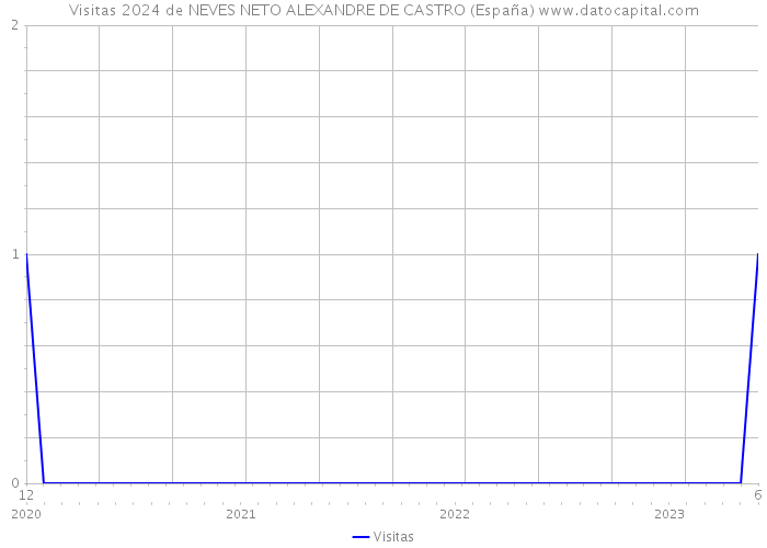 Visitas 2024 de NEVES NETO ALEXANDRE DE CASTRO (España) 