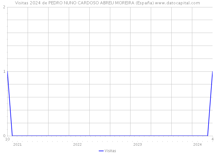 Visitas 2024 de PEDRO NUNO CARDOSO ABREU MOREIRA (España) 