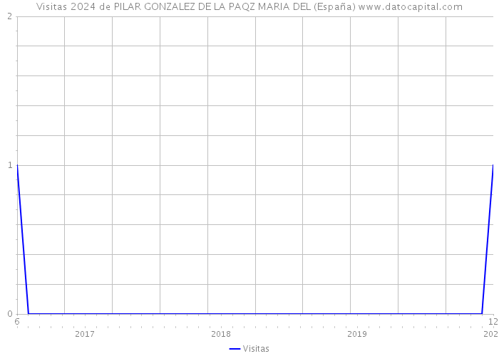 Visitas 2024 de PILAR GONZALEZ DE LA PAQZ MARIA DEL (España) 