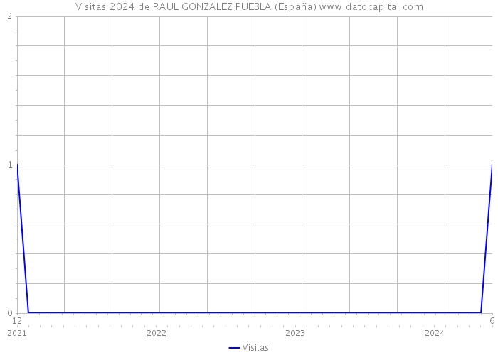 Visitas 2024 de RAUL GONZALEZ PUEBLA (España) 