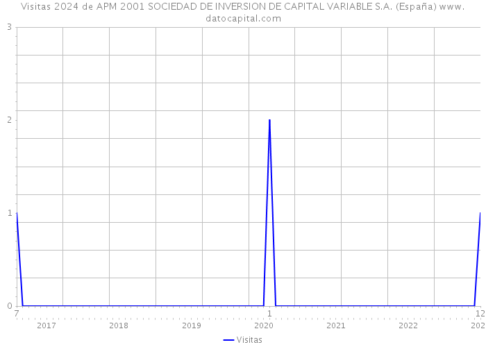 Visitas 2024 de APM 2001 SOCIEDAD DE INVERSION DE CAPITAL VARIABLE S.A. (España) 