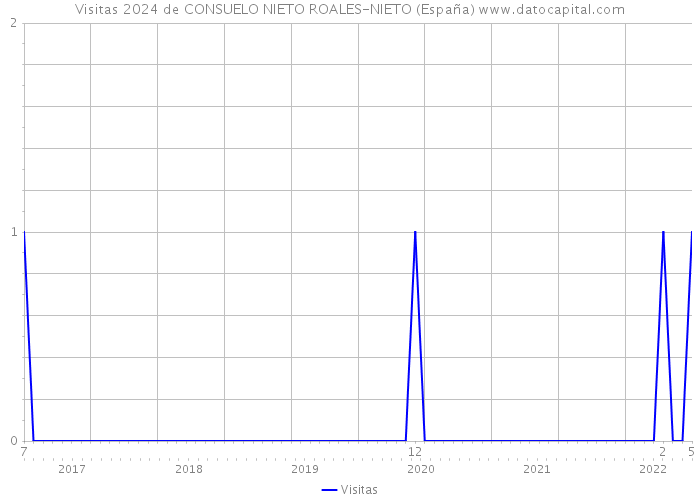 Visitas 2024 de CONSUELO NIETO ROALES-NIETO (España) 