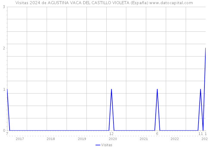 Visitas 2024 de AGUSTINA VACA DEL CASTILLO VIOLETA (España) 