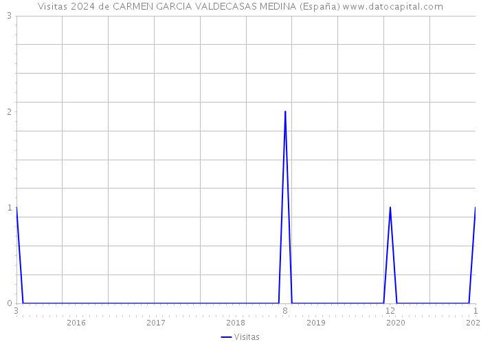 Visitas 2024 de CARMEN GARCIA VALDECASAS MEDINA (España) 