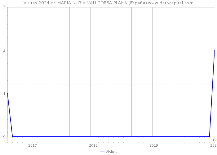 Visitas 2024 de MARIA NURIA VALLCORBA PLANA (España) 