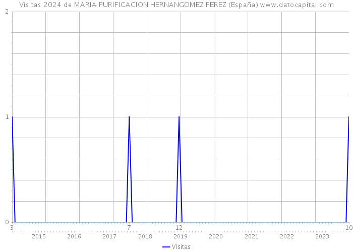 Visitas 2024 de MARIA PURIFICACION HERNANGOMEZ PEREZ (España) 