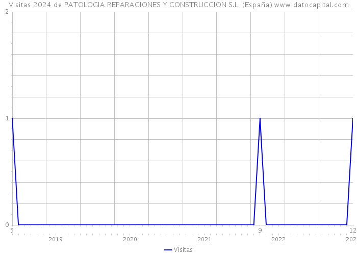 Visitas 2024 de PATOLOGIA REPARACIONES Y CONSTRUCCION S.L. (España) 