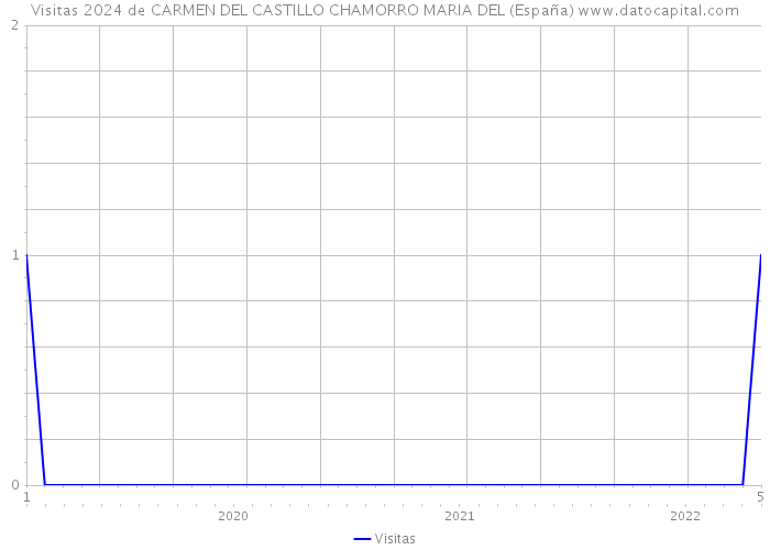 Visitas 2024 de CARMEN DEL CASTILLO CHAMORRO MARIA DEL (España) 