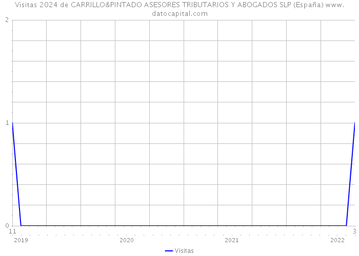 Visitas 2024 de CARRILLO&PINTADO ASESORES TRIBUTARIOS Y ABOGADOS SLP (España) 