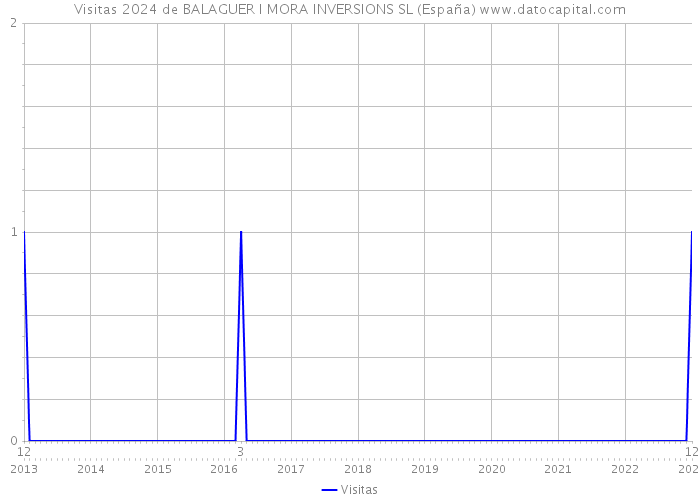 Visitas 2024 de BALAGUER I MORA INVERSIONS SL (España) 