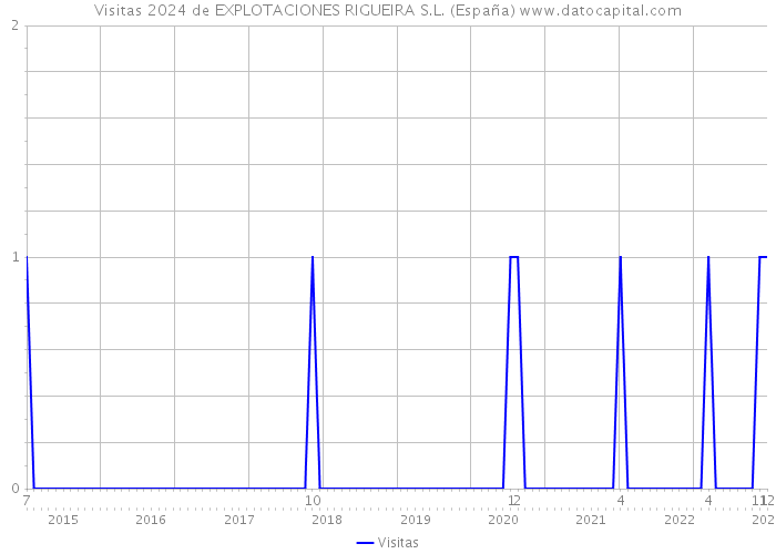 Visitas 2024 de EXPLOTACIONES RIGUEIRA S.L. (España) 