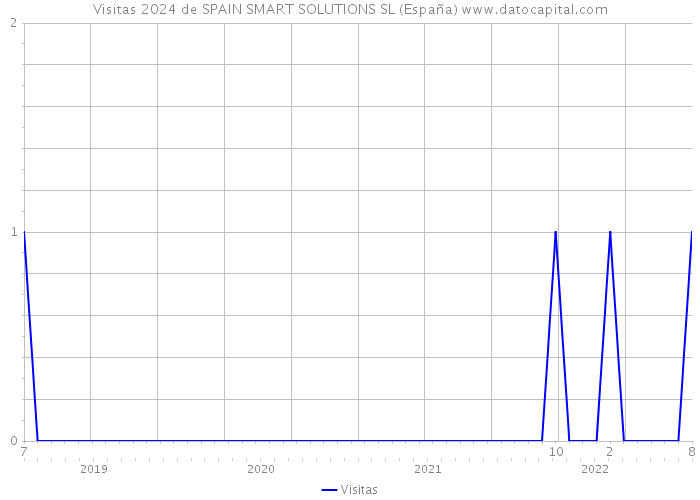 Visitas 2024 de SPAIN SMART SOLUTIONS SL (España) 