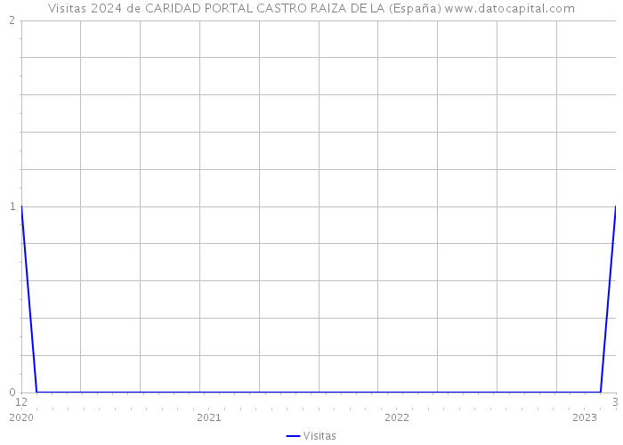 Visitas 2024 de CARIDAD PORTAL CASTRO RAIZA DE LA (España) 