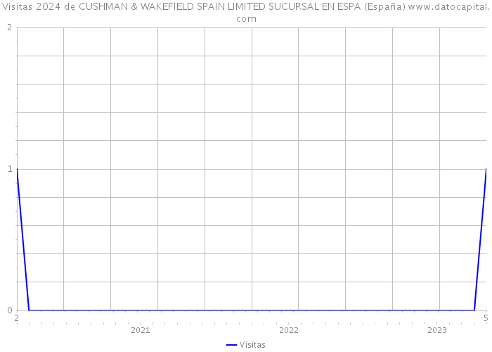 Visitas 2024 de CUSHMAN & WAKEFIELD SPAIN LIMITED SUCURSAL EN ESPA (España) 