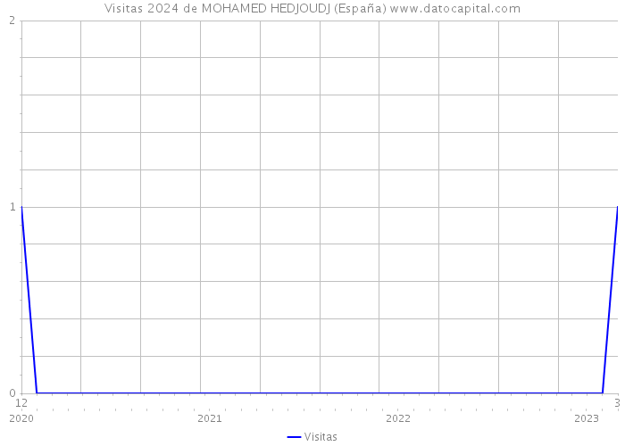 Visitas 2024 de MOHAMED HEDJOUDJ (España) 