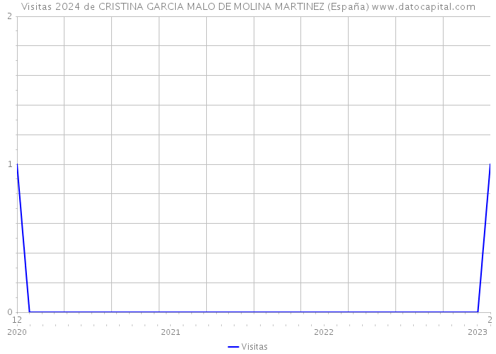 Visitas 2024 de CRISTINA GARCIA MALO DE MOLINA MARTINEZ (España) 