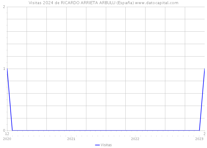 Visitas 2024 de RICARDO ARRIETA ARBULU (España) 