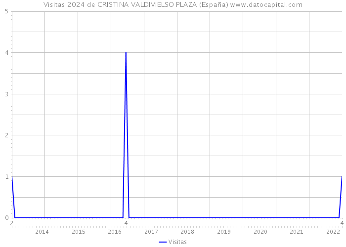 Visitas 2024 de CRISTINA VALDIVIELSO PLAZA (España) 