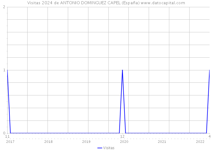 Visitas 2024 de ANTONIO DOMINGUEZ CAPEL (España) 