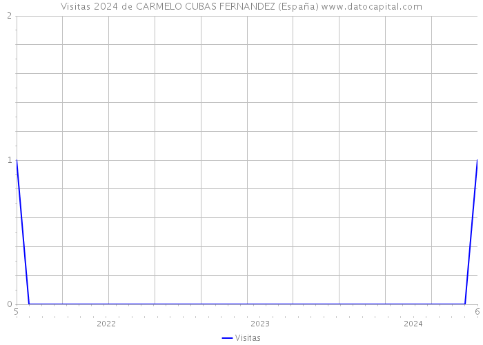 Visitas 2024 de CARMELO CUBAS FERNANDEZ (España) 