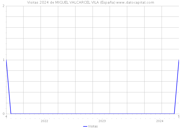 Visitas 2024 de MIGUEL VALCARCEL VILA (España) 