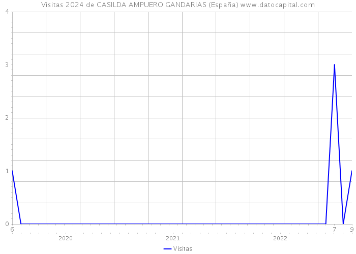 Visitas 2024 de CASILDA AMPUERO GANDARIAS (España) 