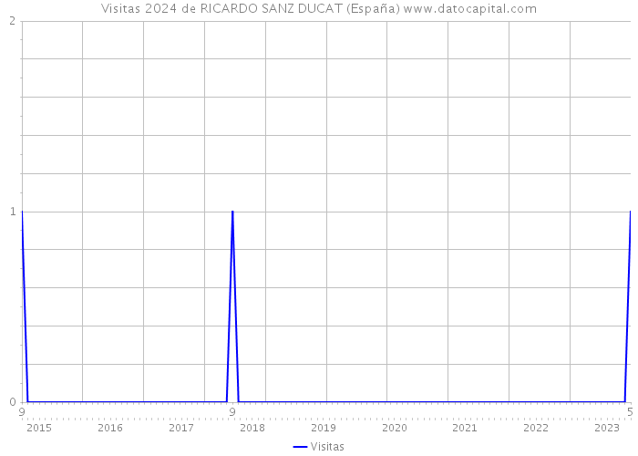 Visitas 2024 de RICARDO SANZ DUCAT (España) 