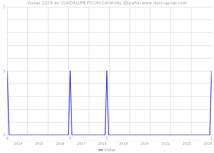 Visitas 2024 de GUADALUPE PICON CANAVAL (España) 