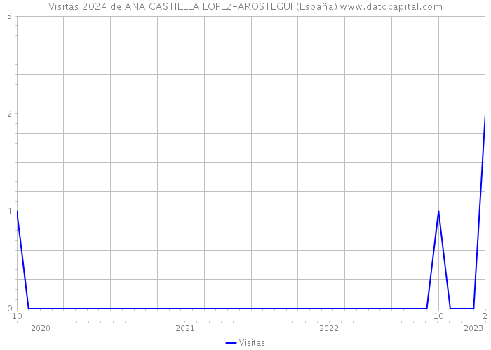 Visitas 2024 de ANA CASTIELLA LOPEZ-AROSTEGUI (España) 