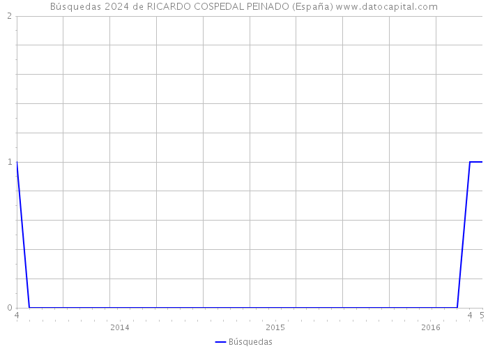 Búsquedas 2024 de RICARDO COSPEDAL PEINADO (España) 