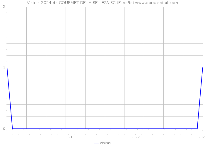 Visitas 2024 de GOURMET DE LA BELLEZA SC (España) 