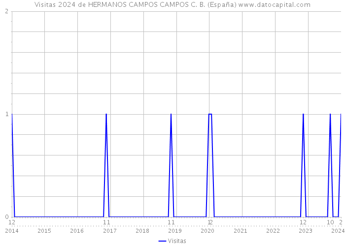 Visitas 2024 de HERMANOS CAMPOS CAMPOS C. B. (España) 