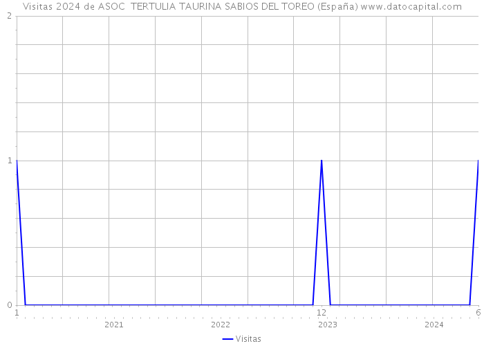Visitas 2024 de ASOC TERTULIA TAURINA SABIOS DEL TOREO (España) 