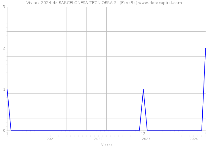 Visitas 2024 de BARCELONESA TECNIOBRA SL (España) 